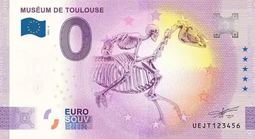 Billet 0€ MUSÉUM DE TOULOUSE