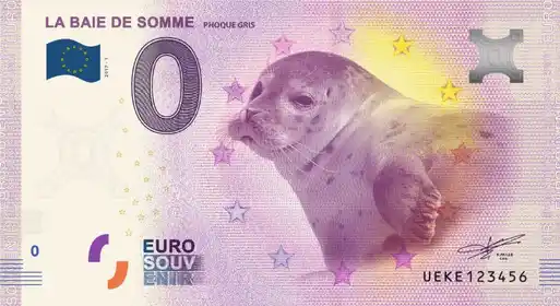 0€ banknote LA BAIE DE SOMMEPHOQUE GRIS