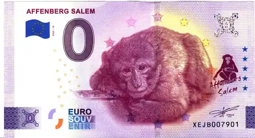 0€ banknote AFFENBERG SALEM